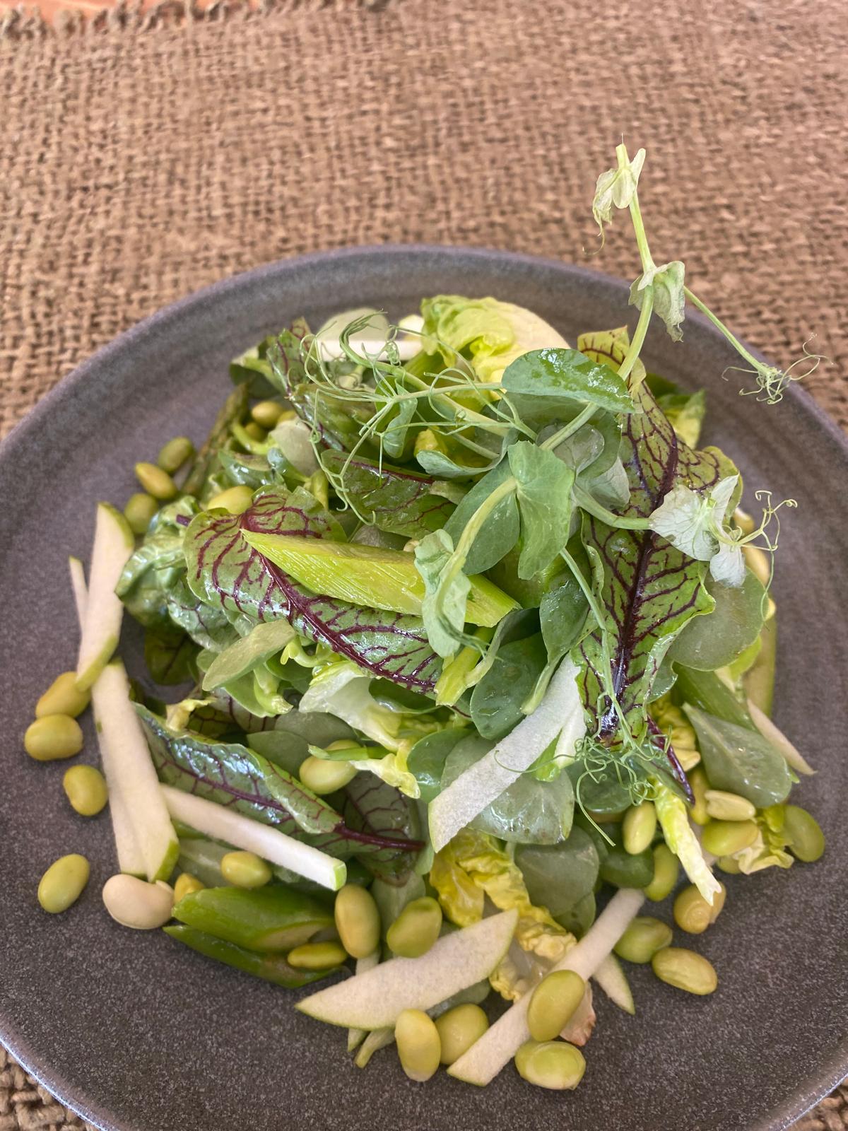 KUŞKONMAZ & EDAMAME